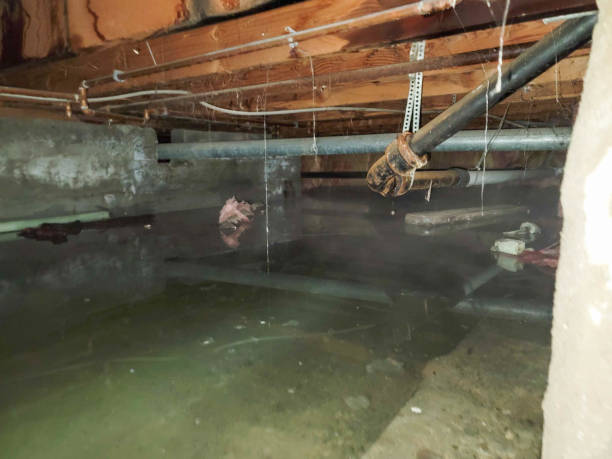 Best Ceiling water damage repair  in Owasso, OK