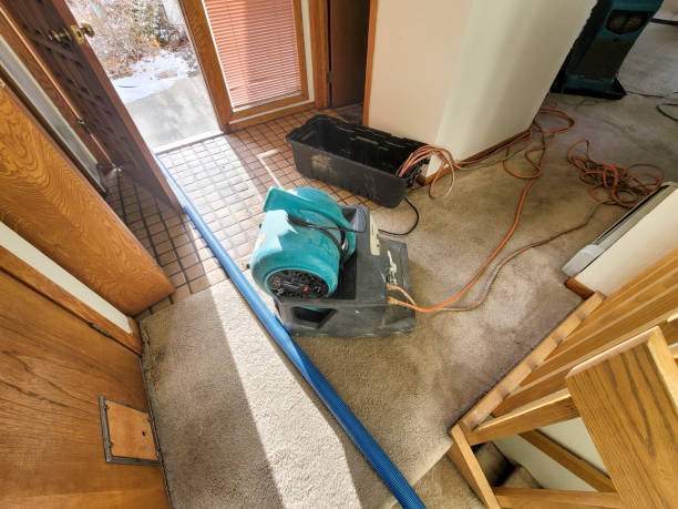 Best Flood restoration services  in Owasso, OK