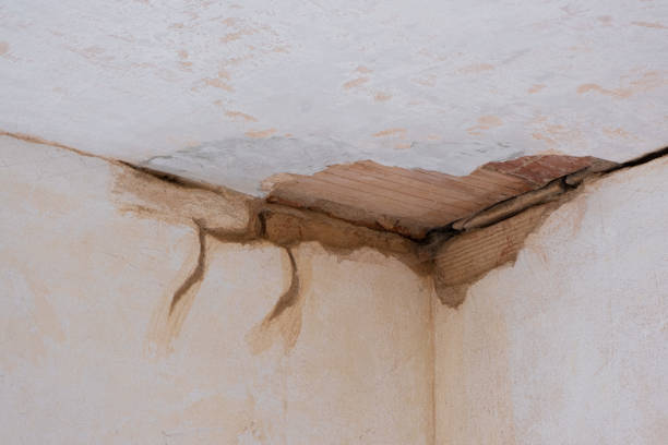 Best Flood damage cleanup  in Owasso, OK