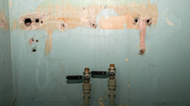 Best Water damage restoration mold remediation  in Owasso, OK
